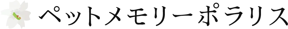 ペット火葬と世界遺産に学ぶ心に残る供養と各国の文化的背景
